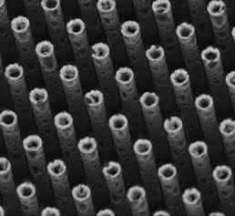 zelluläre Implantate zelluläre Implantate