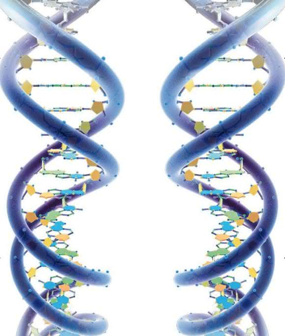 DNA-Stränge