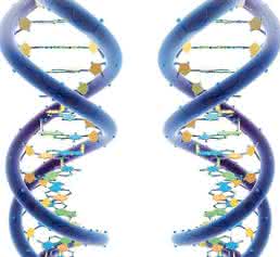DNA-Stränge