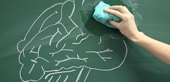Ähnliche Muster von Neurodegeneration? Die Wissenschaftler vermuten einen Zusammenhang zwischen ALS und einer seltenen Form der Demenz. (Foto: LIN / Sarah Schüler)