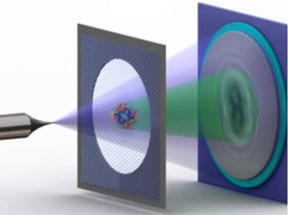 Schema der Elektronen-Holografie einzelner Proteine: Eine Metallspitze, deren Ende nur aus wenigen Atomen besteht, sendet einen Strahl vergleichsweise langsamer, also energiearmer Elektronen aus. Einen Teil des Strahls wird an dem Protein auf einem Graphen-Träger gestreut. Der gestreute Teil des Strahls erzeugt mit dem nicht-gestreuten Teil dann ein Interferenzmuster – das Hologramm, das aufgezeichnet wird. (© Tatiana Latychevskaia / Universität Zürich) Schema der Elektronen-Holografie einzelner Proteine: Eine Metallspitze, deren Ende nur aus wenigen Atomen besteht, sendet einen Strahl vergleichsweise langsamer, also energiearmer Elektronen aus. Einen Teil des Strahls wird an dem Protein auf einem Graphen-Träger gestreut. Der gestreute Teil des Strahls erzeugt mit dem nicht-gestreuten Teil dann ein Interferenzmuster – das Hologramm, das aufgezeichnet wird. (© Tatiana Latychevskaia / Universität Zürich)