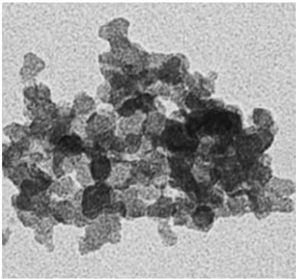 Nanopartikel aus Verbrennungsmotoren (hier gezeigt) können Viren aktivieren, die in Lungengewebe ruhen. (Quelle: Helmholtz Zentrum München)