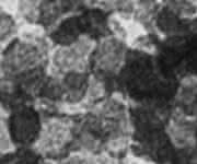Nanopartikel aus Verbrennungsmotoren (hier gezeigt) können Viren aktivieren, die in Lungengewebe ruhen. (Quelle: Helmholtz Zentrum München)