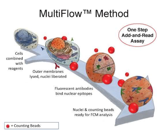 Prüfung auf Genotoxizität mit dem neuen Service CAN MultiFlow™ von Merck.