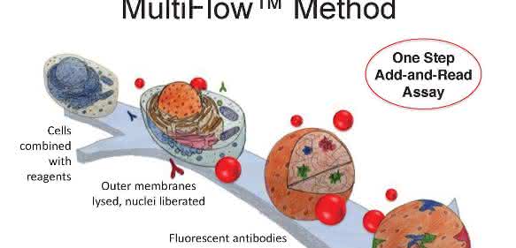 Prüfung auf Genotoxizität mit dem neuen Service CAN MultiFlow™ von Merck.
