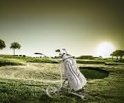 Golftrolley TiCad E-Caddy mit Faulhaber-Motor