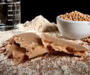 Aus Erbsenmehl und Wasser sollen vegane „Schnitzel“ hergestellt werden, die dem Geschmack eines echten Schweineschnitzels in nichts nachstehen. (© TU Berlin/PR/PhilippArnoldt)
