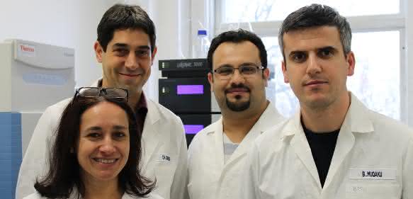 Christopher Gerner zusammen mit seinem Team (von links: Astrid Slany, Christopher Gerner, Besnik Muqaku, Ammar Tahir). (Copyright: Universität Wien) Christopher Gerner zusammen mit seinem Team (von links: Astrid Slany, Christopher Gerner, Besnik Muqaku, Ammar Tahir). (Copyright: Universität Wien)