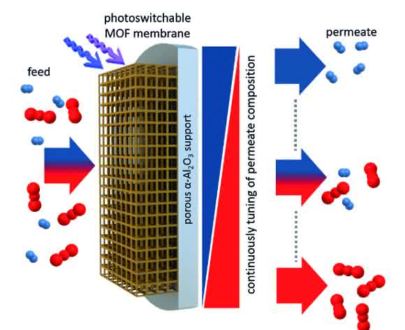 Eine MOF-Membran mit eingebauten Fotoschaltern trennt Moleküle. Über die Lichteinstrahlung lässt sich der Trennfaktor stufenlos einstellen. (Abbildung: Alexander Knebel / Universität Hannover und Lars Heinke / KIT) Eine MOF-Membran mit eingebauten Fotoschaltern trennt Moleküle. Über die Lichteinstrahlung lässt sich der Trennfaktor stufenlos einstellen. (Abbildung: Alexander Knebel / Universität Hannover und Lars Heinke / KIT)