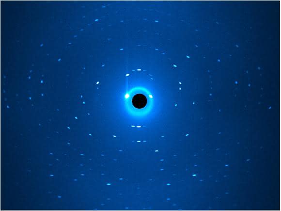 Beugungsbild, wie es bei der Neutronenstreuung am Instrument BioDiff entsteht. (Bild / Fotograf: Andreas Ostermann / TUM)