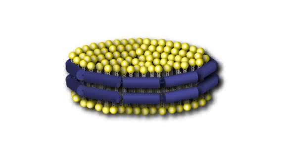 Um Interaktionen isoliert und unter kontrollierten Bedingungen aufzuklären, benutzten die Forscher sogenannte „Nanodiscs" als Modellsystem. Diese bestehen wie Zellmembranen aus einer Doppelschicht von Lipiden (gelb). Ein umlaufendes Gerüst-Protein (blau) hält sie zusammen. (Copyright: Forschungszentrum Jülich) Um Interaktionen isoliert und unter kontrollierten Bedingungen aufzuklären, benutzten die Forscher sogenannte „Nanodiscs" als Modellsystem. Diese bestehen wie Zellmembranen aus einer Doppelschicht von Lipiden (gelb). Ein umlaufendes Gerüst-Protein (blau) hält sie zusammen. (Copyright: Forschungszentrum Jülich)