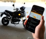 Schwarmintelligenz für Motorräder: Continental öffnet den eHorizon für Biker
