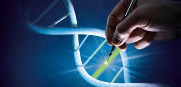 CRISPR CRISPR
