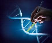 CRISPR CRISPR