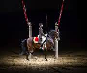 Spanische Hofreitschule Spot aufs Pferd