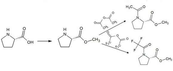 Derivatisierung von Prolin