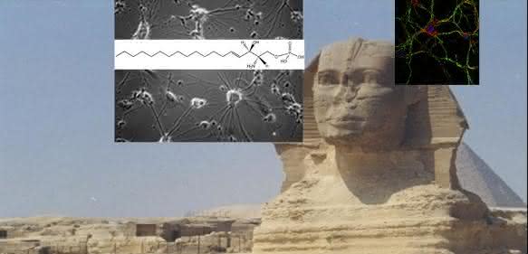 Sphinx