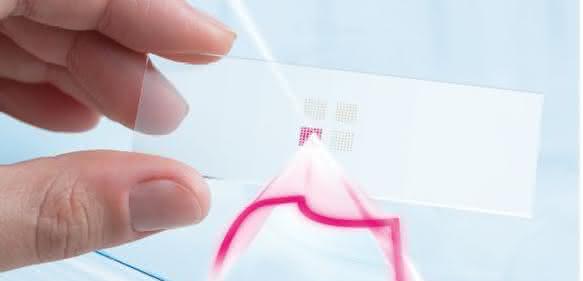 Next Generation Microarrays: Was Sie schon immer über das Proteom wissen wollten…