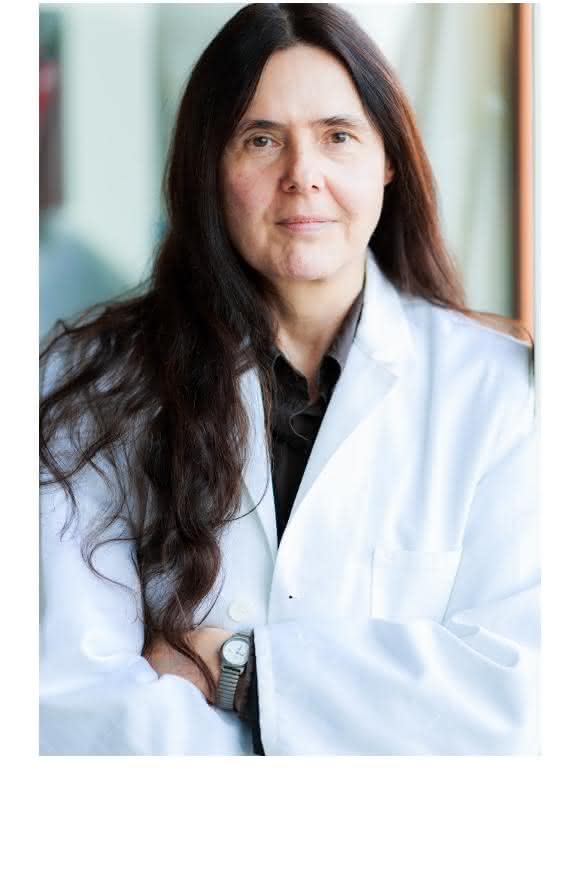 Prof. Dr. Evamarie Hey-Hawkins (Foto: Universität Leipzig / Christian Hüller)