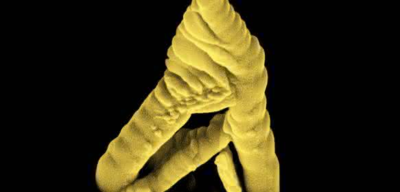 Nanostruktur aus Gold. (Copyright: MM Shawrav, TU Wien)