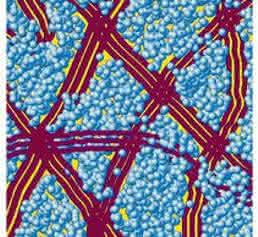 Plastiksolarzellen: Röntgenblick zeigt Verschleiß