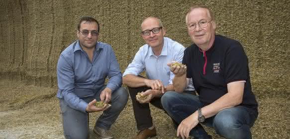 Pflanzen mit neuem Verfahren „austricksen“: Alternativen zu Soja-Importen für Landwirte