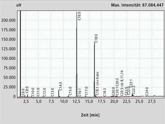 Lebensmittelanalytik: Gesunde Fette in Chips und Würstchen?