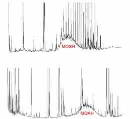 Lebensmittelanalytik: Mineralöl-Rückstände in Lebensmitteln Lebensmittelanalytik: Mineralöl-Rückstände in Lebensmitteln