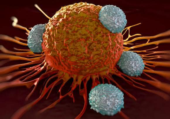 Cancer: Molecular Chaperones and Co-chaperones as Therapeutic Targets for Cancer