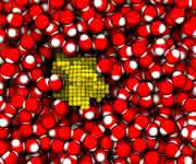 Simulation von Blasenbildung in Wasser