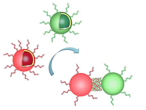 Polymersomen Polymersomen
