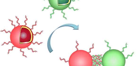 Polymersomen