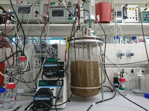 Bioreaktor