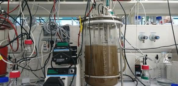 Bioreaktor