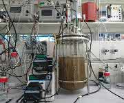 Bioreaktor