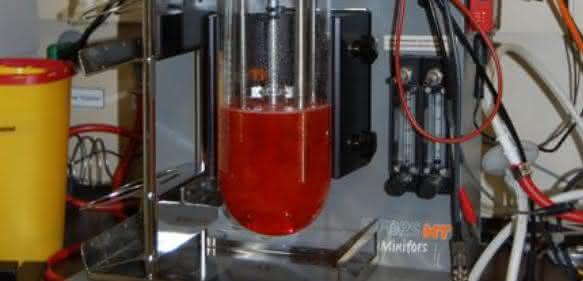 Bioreaktor