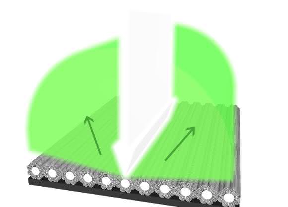 Die synthetisch erzeugte, von der blauen Vogelspinne inspirierte Blumenstruktur strahlt das Licht in gleicher Farbe über einen Blickwinkel von 160° ab. (Grafik: Derek Miller)