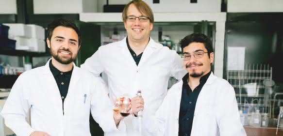 Wollen mehr Biologie in die chemische Industrie bringen: Dennis Reichert, Robert Kourist und Álvaro Gómez Baraibar (von links). (© RUB, Kramer)