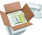 Storopack bringt eine neue temperaturgeführte Schutzverpackung mit rund 96 Stunden Haltedauer auf den Markt. (Bild: Storopack)