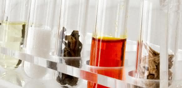 Verschiedene Rohstoffe als Grundbausteine für Kunststoffe. © Foto Fraunhofer IGB Verschiedene Rohstoffe als Grundbausteine für Kunststoffe. © Foto Fraunhofer IGB