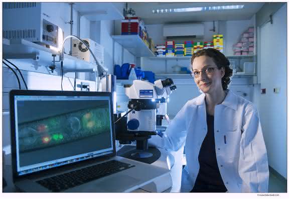 Luisa Cochella untersucht am Fadenwurm, welche Gene die Identität von Zellen bestimmen. Im Mikroskop sind die Zellen erkennbar, mit denen die Würmer Kohlendioxid „riechen“. © IMP/Beck