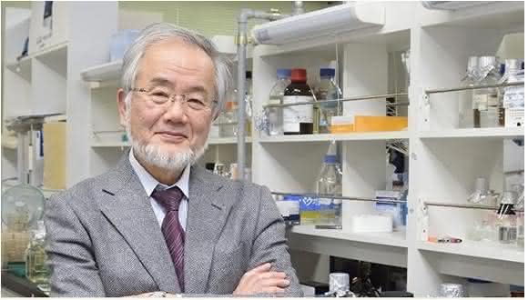 Zellbiologe Yoshinori Ohsumi erhält Nobelpreis für Medizin für die Entdeckung des sogenannten Autophagie-Mechanismus (Bild: Tokyo Institute of Technology). Der Nobelpreis für Medizin geht in diesem Jahr an den Japaner Yoshinori Ohsumi für die Entdeckung des sogenannten Autophagie-Mechanismus. (Bild: Tokyo Institute of Technology).