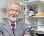 Der Nobelpreis für Medizin geht in diesem Jahr an den Japaner Yoshinori Ohsumi für die Entdeckung des sogenannten Autophagie-Mechanismus. (Bild: Tokyo Institute of Technology).