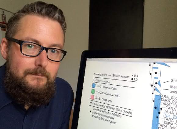 Der Mikrobiologe Alexander Loy liefert einen wichtigen Beitrag zur Katalogisierung der genetischen Vielfalt der Viren in den Weltmeeren. Copyright: privat Der Mikrobiologe Alexander Loy liefert einen wichtigen Beitrag zur Katalogisierung der genetischen Vielfalt der Viren in den Weltmeeren. Copyright: privat