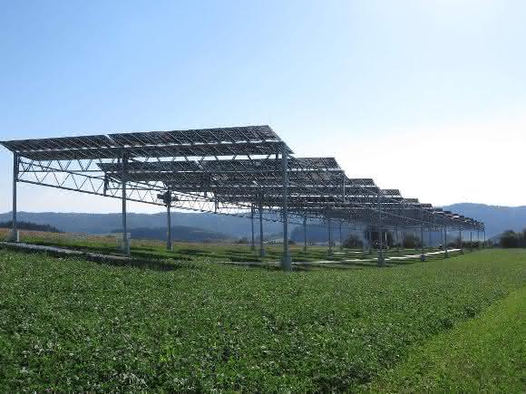 Die Agrophotovoltaik-Pilotanlage in Heggelbach am Bodensee kombiniert Strom- und Nahrungsmittelproduktion. ©Fraunhofer ISE
