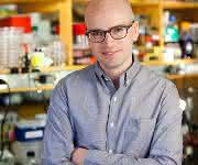 Professor Dr. Knut Drescher lehrt Biophysik an der Philipps-Universität und erhält einen „Starting Grant“ des europäischen Forschungsrates ERC. (Foto: Zachary Donnell) Professor Dr. Knut Drescher lehrt Biophysik an der Philipps-Universität und erhält einen „Starting Grant“ des europäischen Forschungsrates ERC. (Foto: Zachary Donnell)