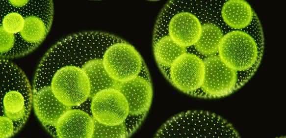 Effizienz- und Qualitätssteigerungen: Ultraschall-Anwendungen in Technikum und Produktion