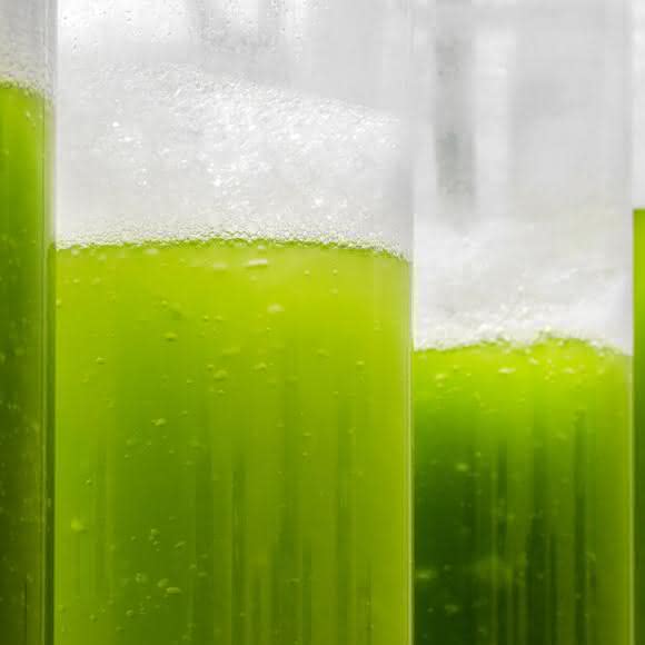 Effizienz- und Qualitätssteigerungen: Ultraschall-Anwendungen in Technikum und Produktion