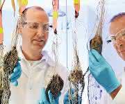 Bayer kauft US-Saatguthersteller Monsanto für 66 Milliarden Dollar. Bayer kauft US-Saatguthersteller Monsanto für 66 Milliarden Dollar.