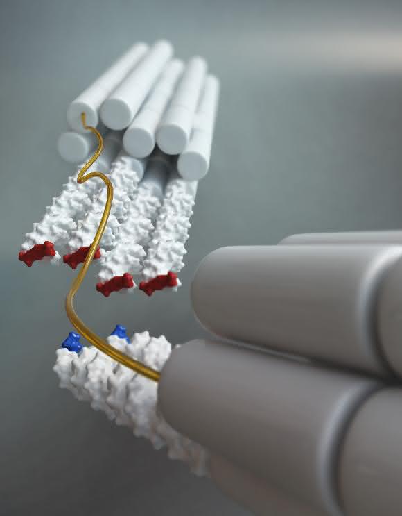 Mithilfe eines neuen Messsystems können die Forscher die Wechselwirkungen zwischen Basenpaaren messen. (Bild: Christoph Hohmann & Hendrik Dietz/ Nano Initiative Munich/ TUM)